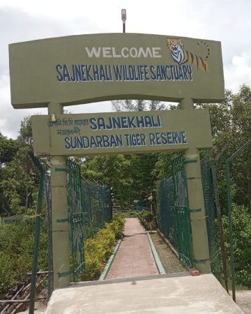 Sajnekhali Tiger reserve Camp